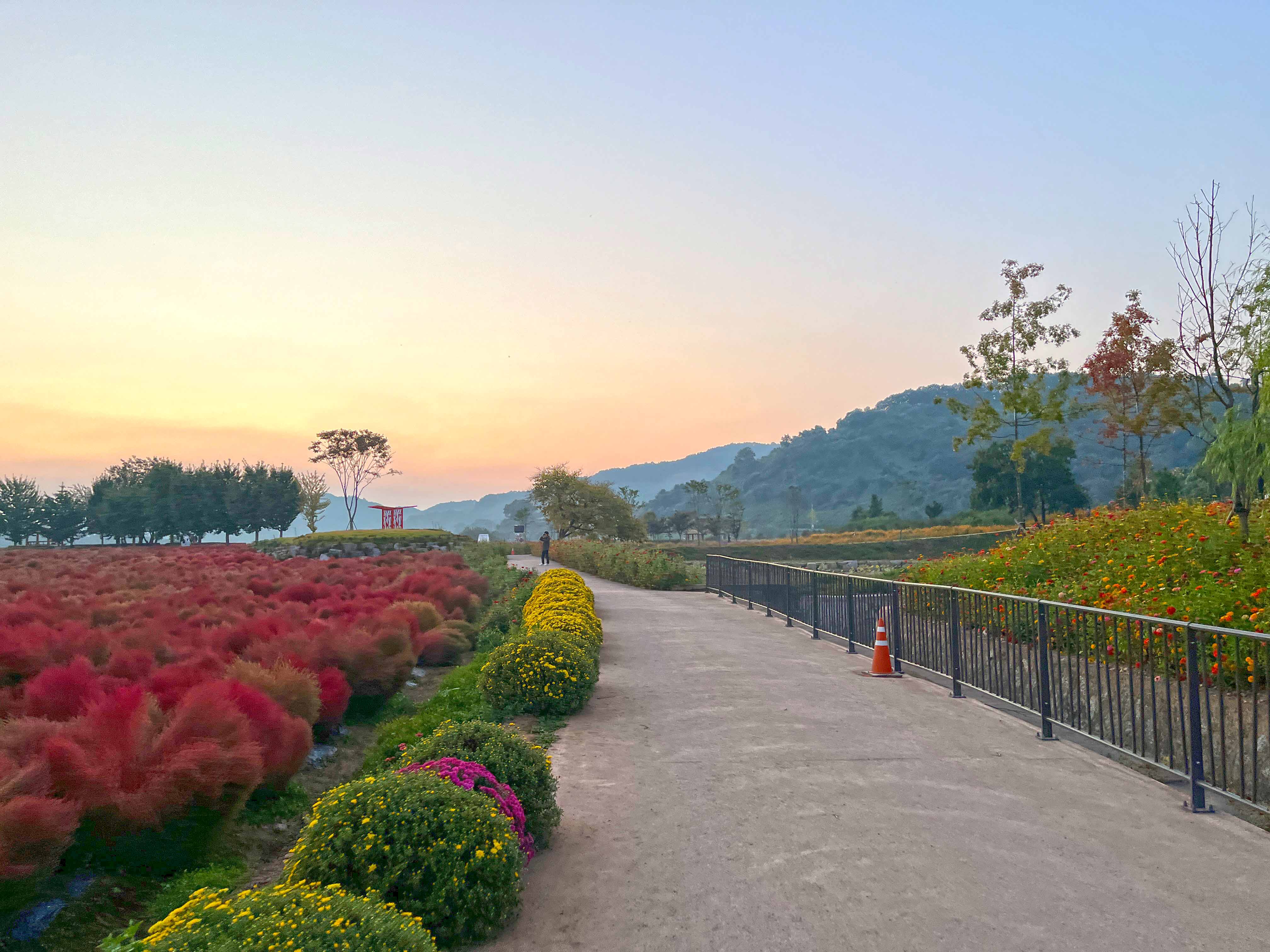 연천 임진강 댑싸리 공원