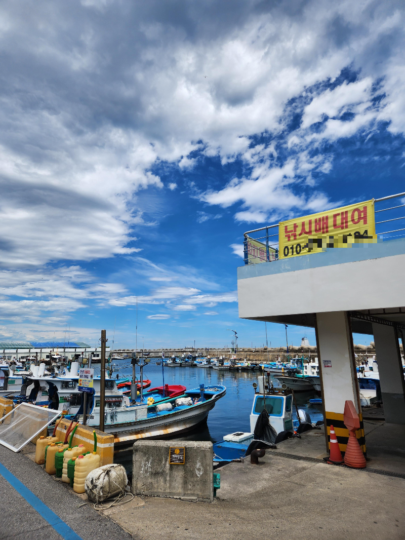 대진해수욕장 낚시