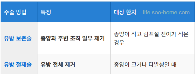 수술적 치료