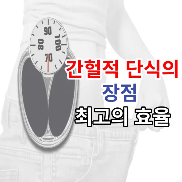 간헐적 단식 총정리에 대한 썸네일 이미지 입니다.