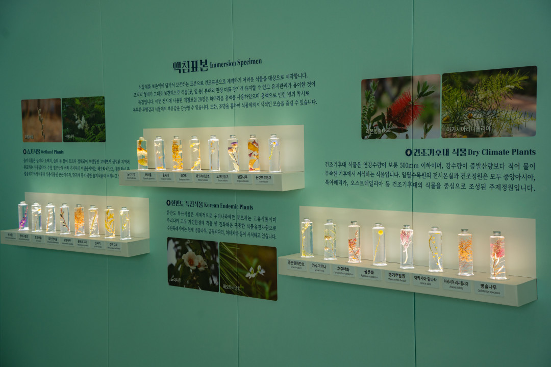 일월 수목원 내부
