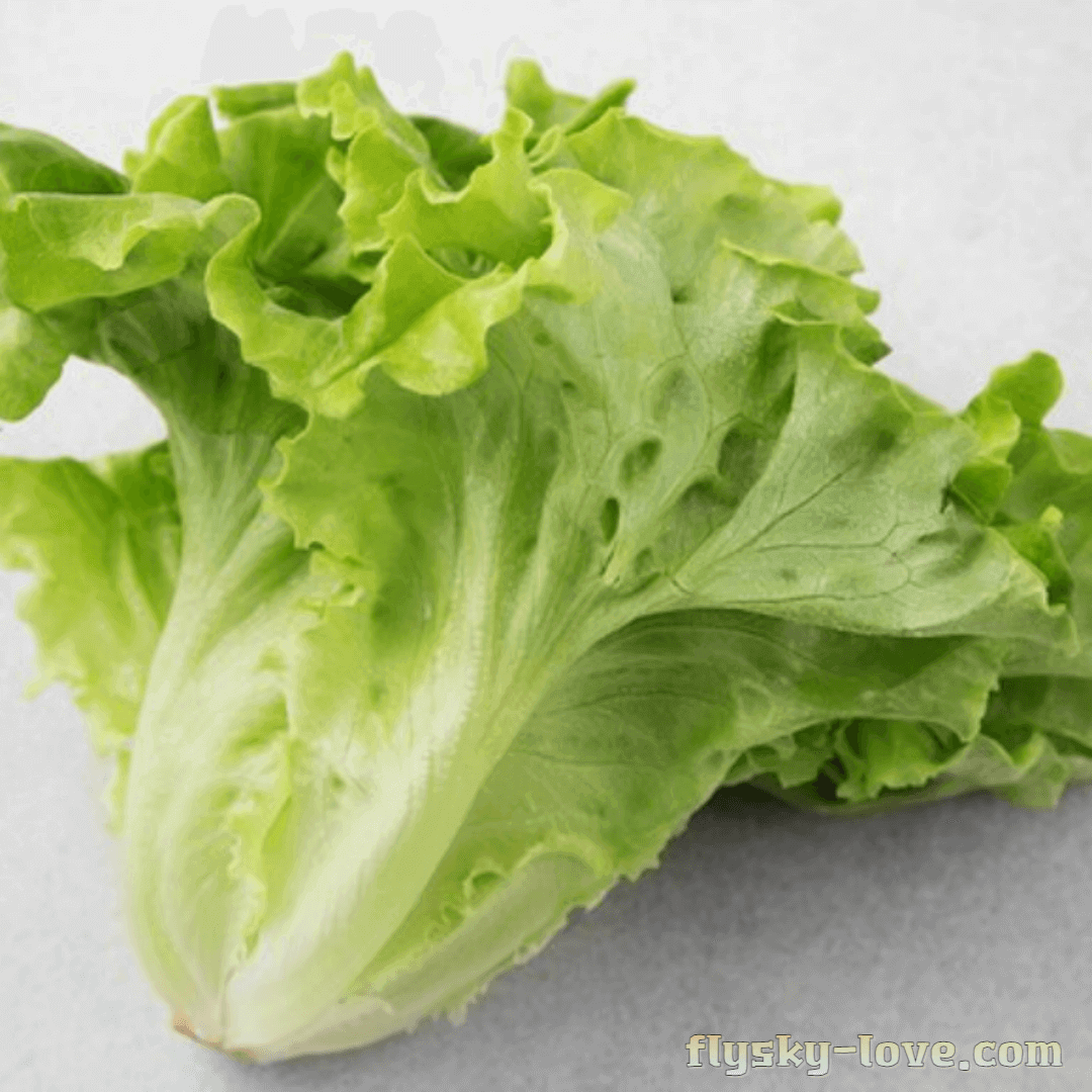 카이피라 효능