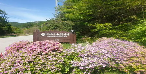 국립청태산자연휴양림