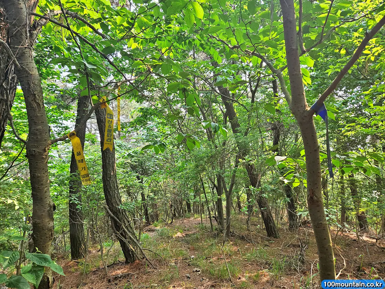 산 정상