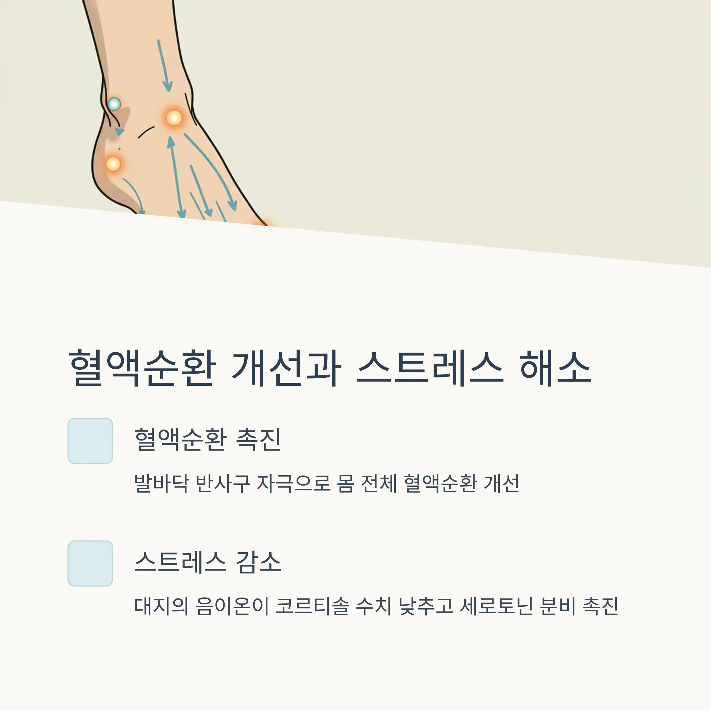 🌱 맨발 걷기(어싱)의 놀라운 효능