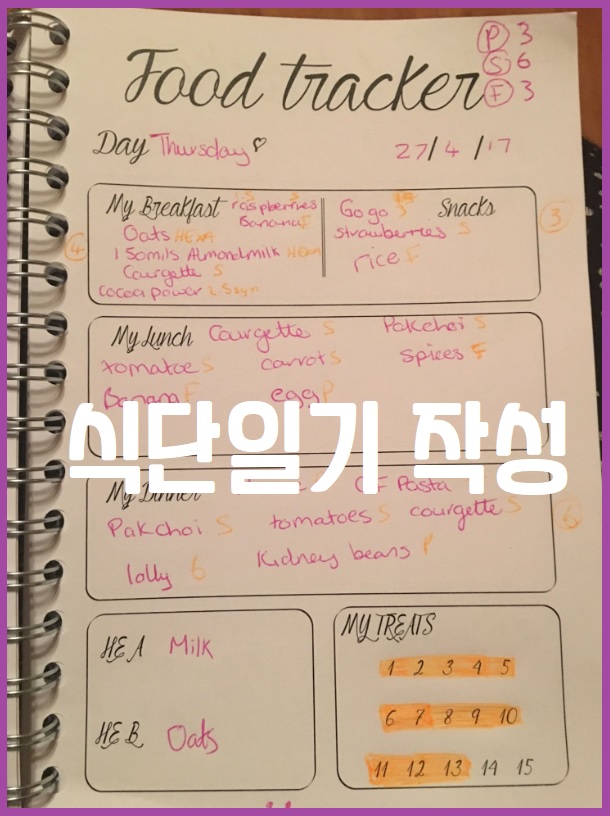 식단 일기 작성