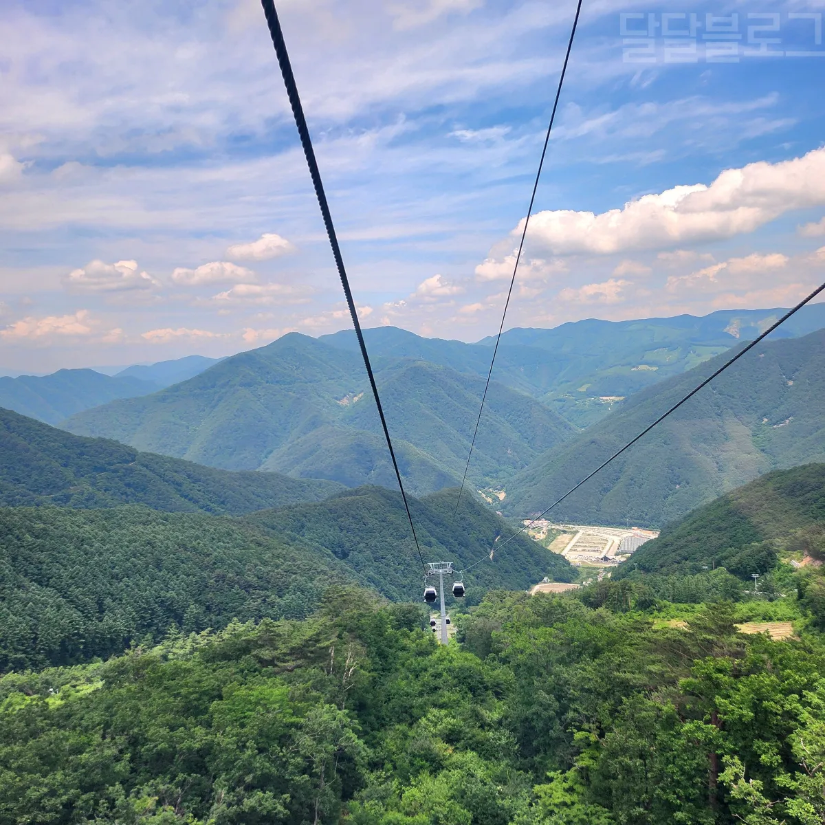 정선-파크로쉬-케이블카-내부