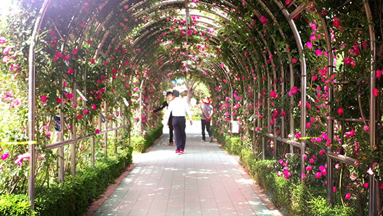 삼척장미공원(1)