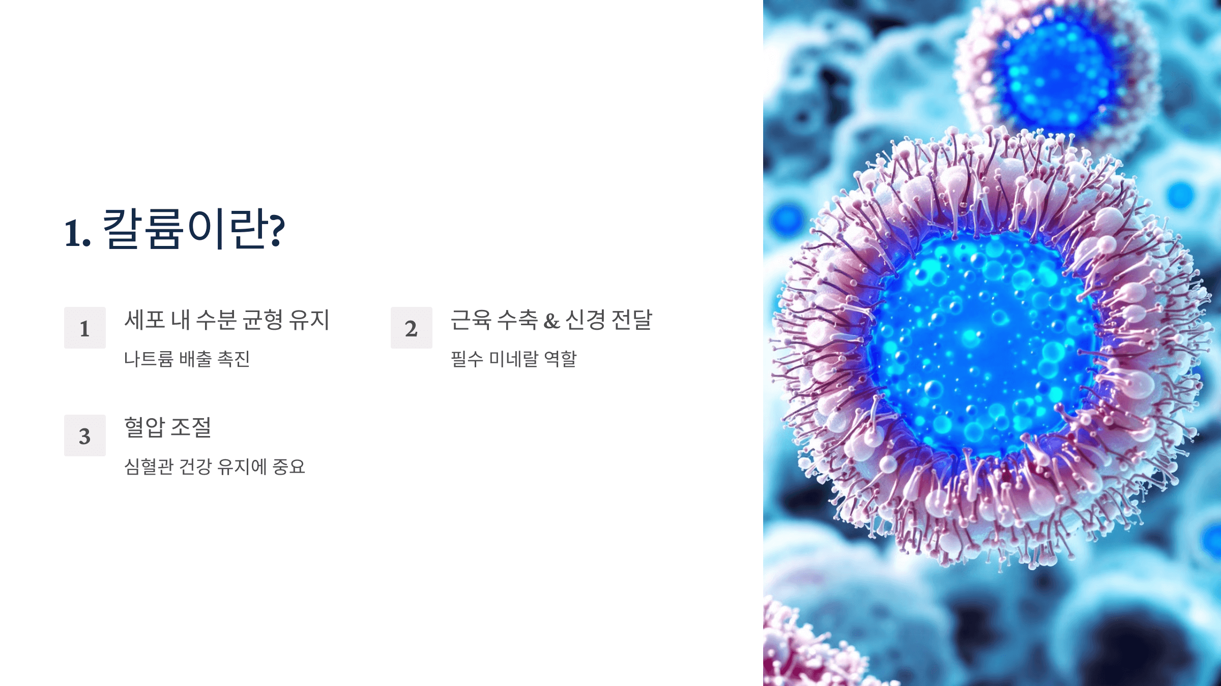 칼륨과 관련된 사진입니다.