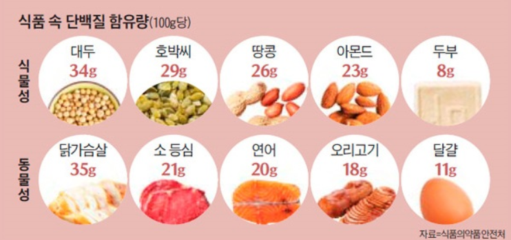 치매예방식품단백질