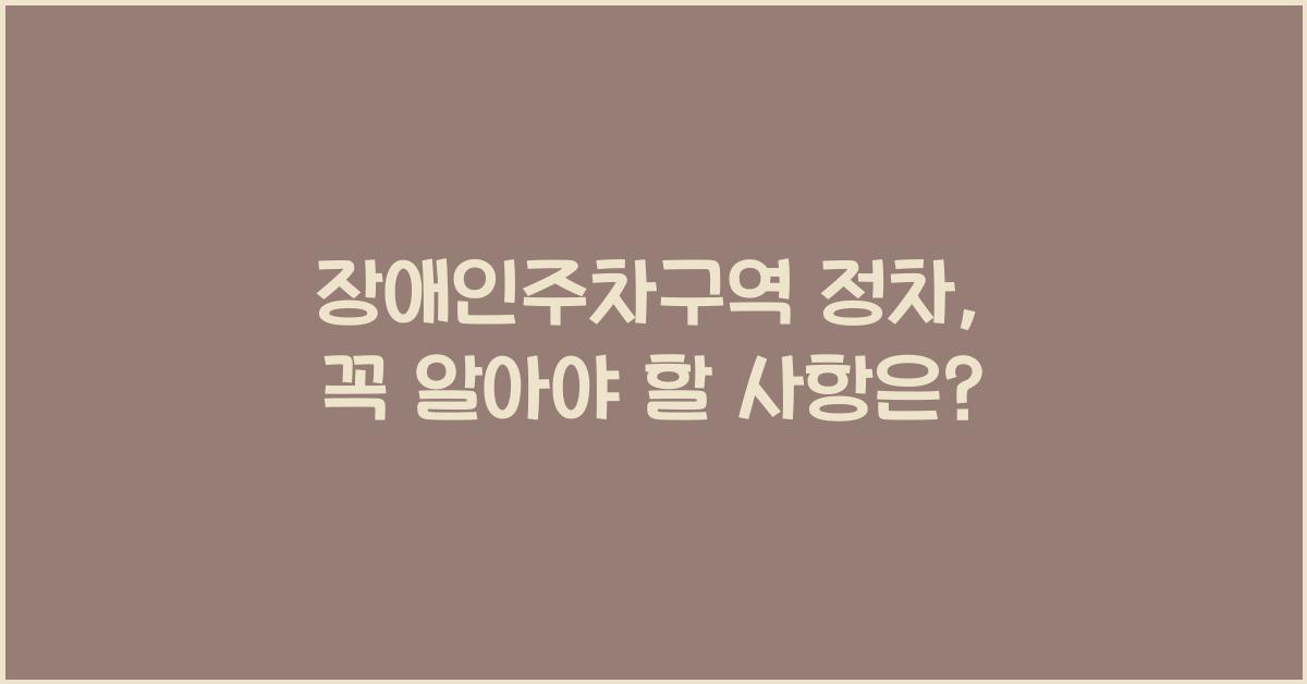 장애인주차구역 정차