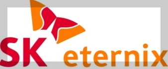 SK이터닉스 기업 로고