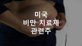 비만치료제 대장주 관련주 TOP5_27