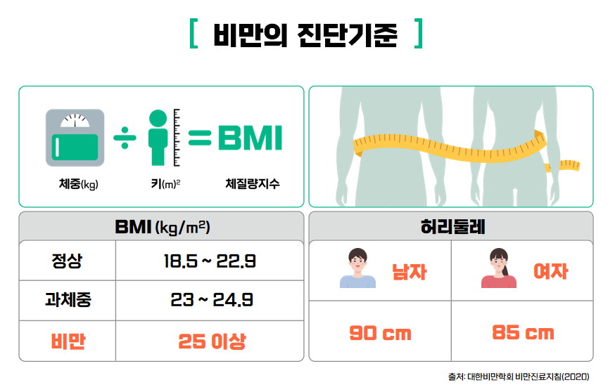 비만의 진단 기준