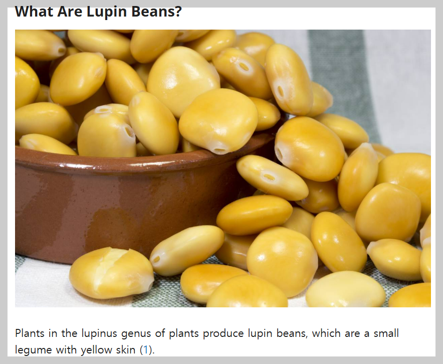 떠오르는 루피니빈의 효능에 대해 알아보자(단백질 폭탄 콩, 슈퍼푸드, 당뇨에 도움, 루피니빈 콩, 루핀빈, 루피니빈과 병아리콩, 렌틸콩 비교, 루피니빈 먹는 법, 루피니빈 삶기, 루피니빈 밥, 부작용)