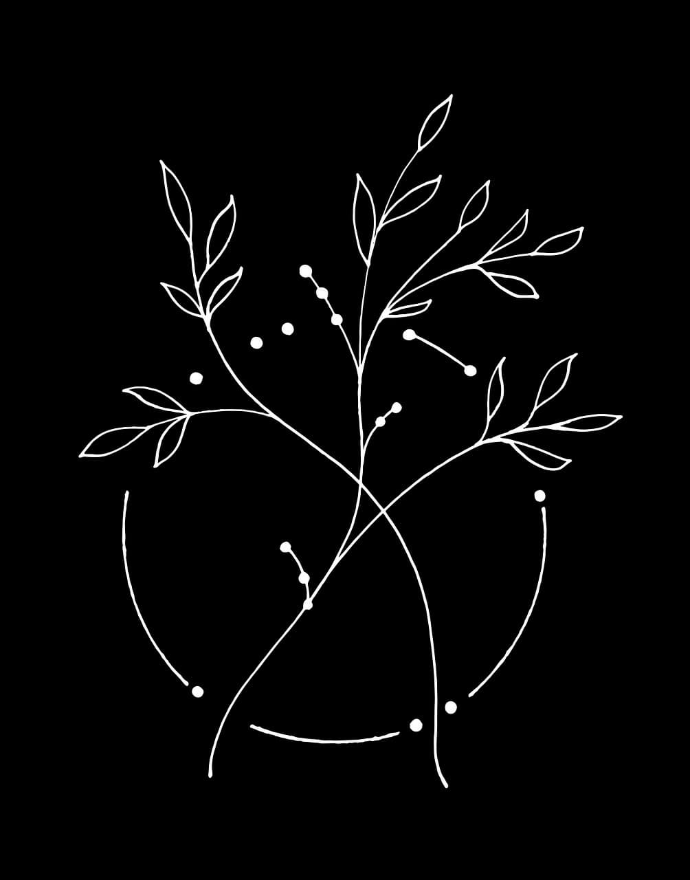 코골이(snoring)와 연관된 상기도 조직 변형 및 그 수술적/비수술적 치료법 비교