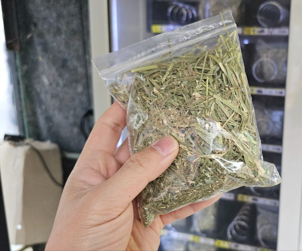 [24.11월] 아이와 평창 #1 - 모나 용평리조트 애니포레🏔️