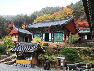 곡성 장미축제