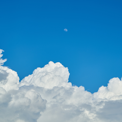 하늘해달구름꿈해몽