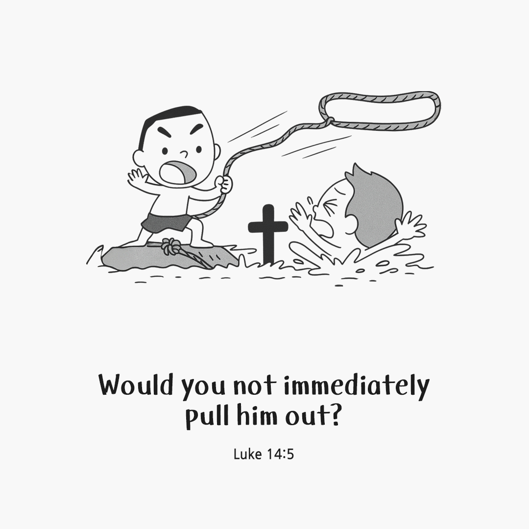 Who among you, if your son or ox falls into a cistern, would not immediately pull him out on the sabbath day? (Luke 14:5) by pieonane Daily Bible quote image
