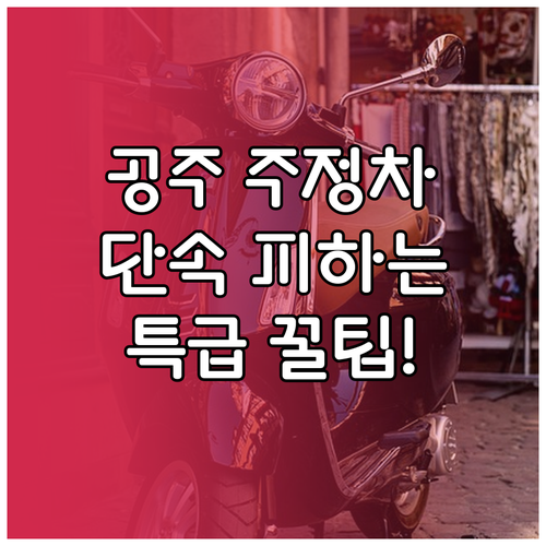 공주시 주정차 단속 알림 문자 등록 ..