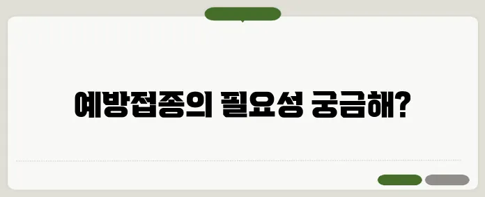 폐렴 예방접종 시기 비용 65세 이상 필수일까