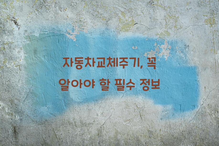 자동차교체주기