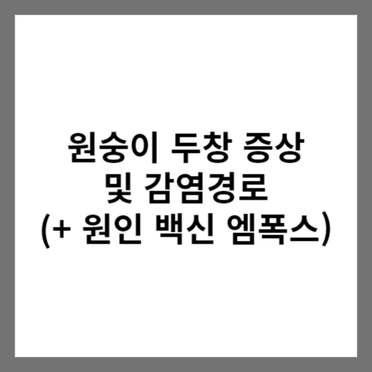 원숭이 두창 증상 및 감염경로 (+ 원인 백신 엠폭스)