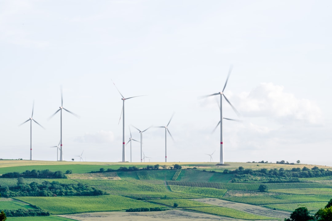 Korea Electric Power Corporation (KEPCO)