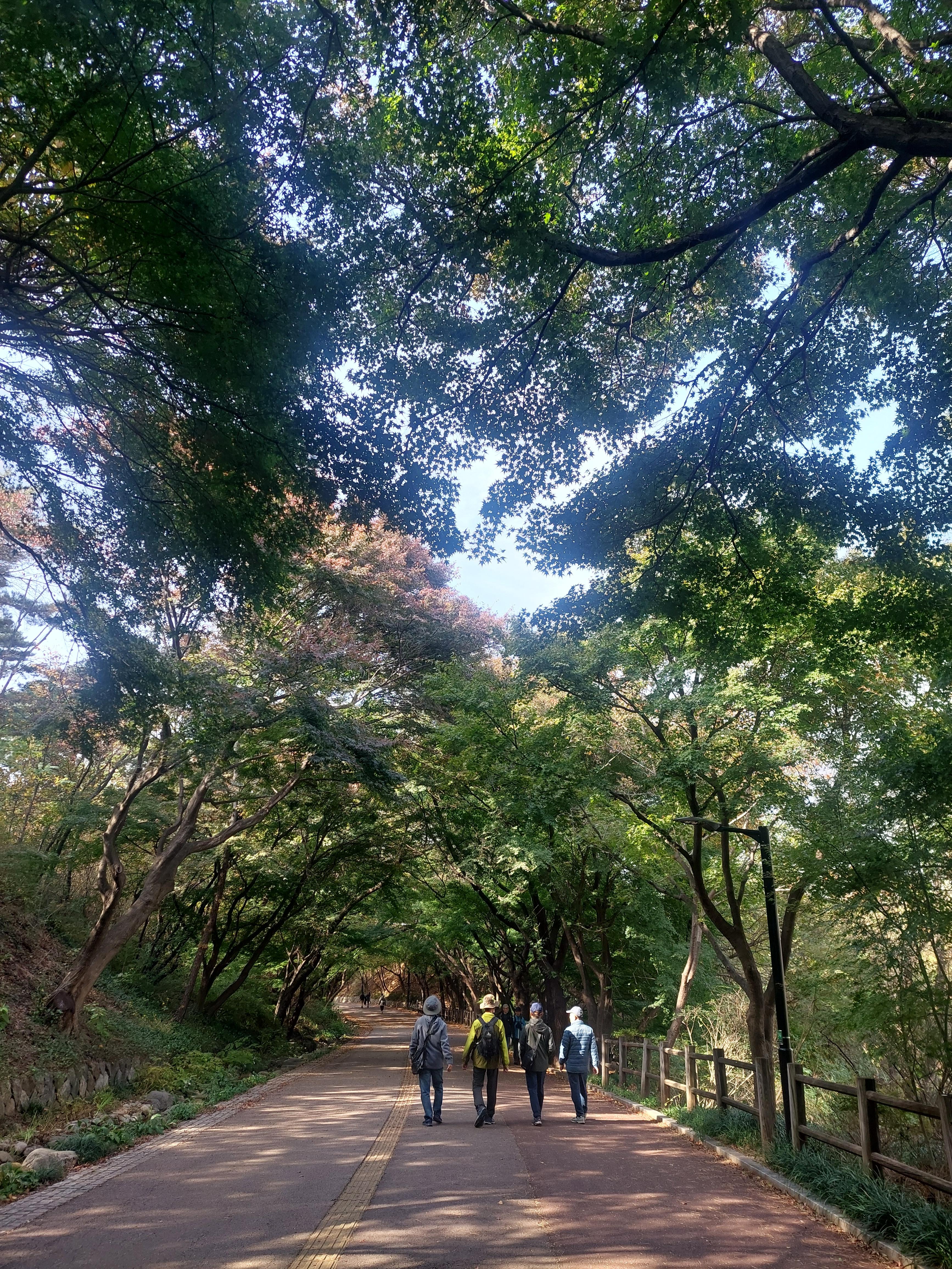 남산