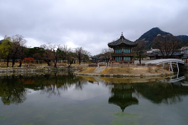 월디페와 함께 즐기는 서울 명소