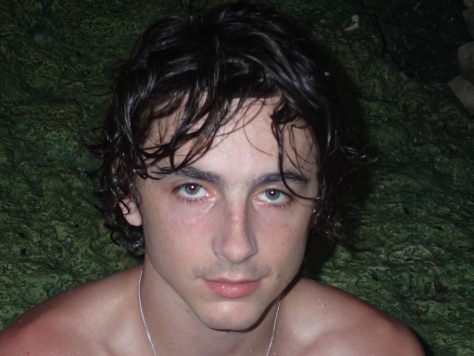 티모시 샬라메 카일리 제너 열애