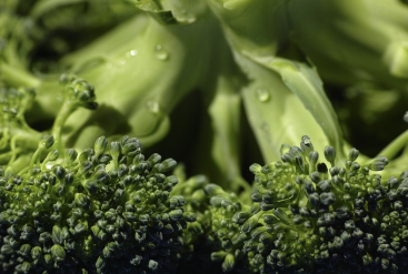 장 건강을 위한 식습관