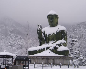 이색적인 전국 사찰여행