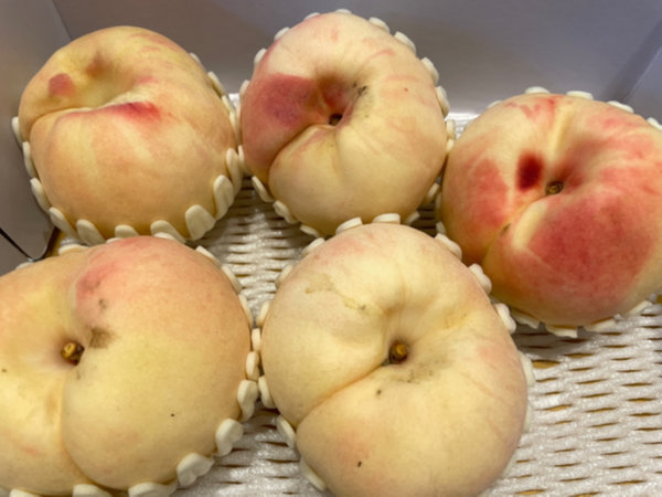 복숭아 후숙은 실온에서 하루 정도