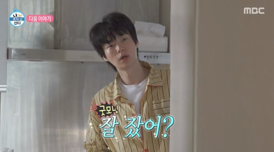 안재현 나혼산 고양이 반려묘 안주 일상 근황