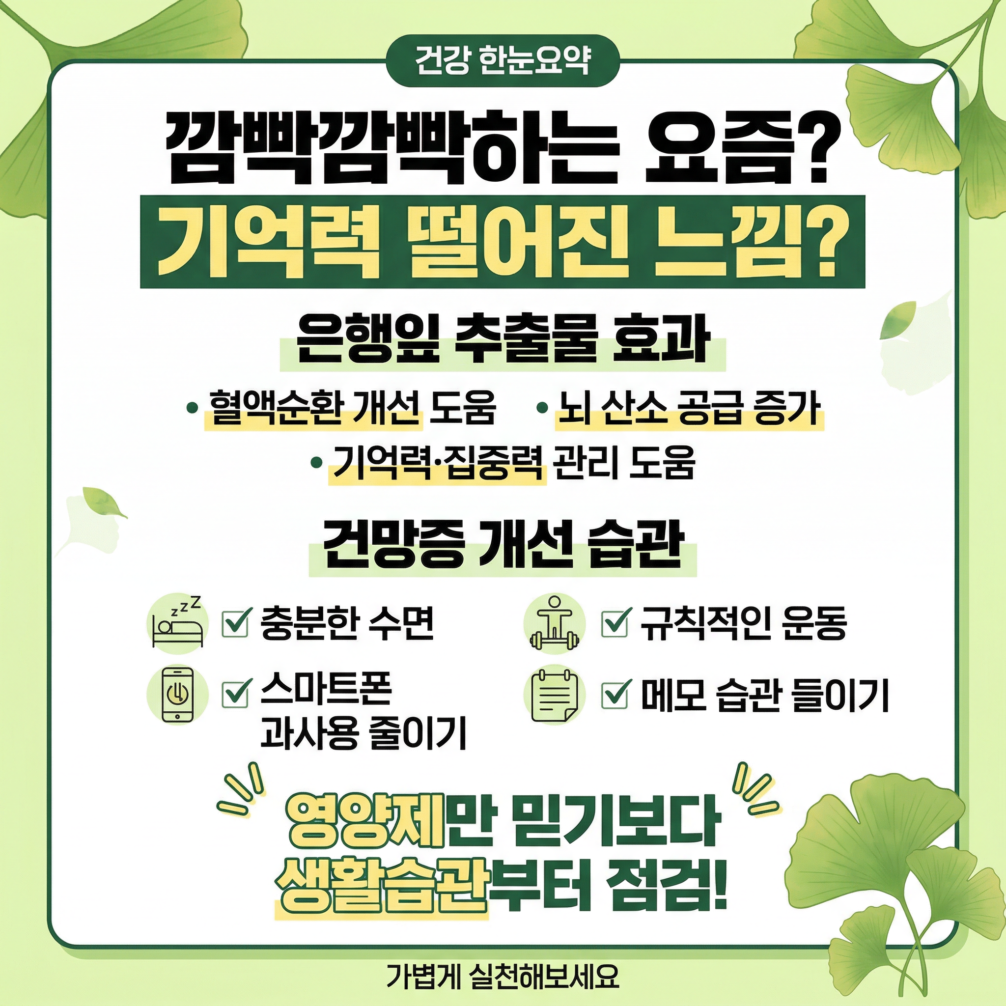 깜빡깜빡하는 요즘, 기억력이 떨어진 느낌? 은행잎 추출물 효과와 건망증 개선 방법 정리