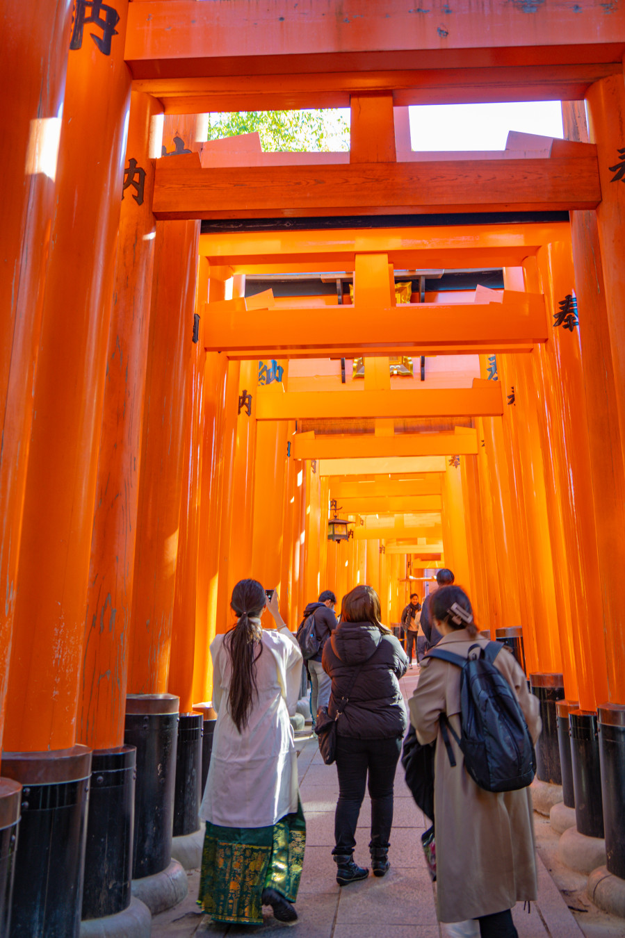 후시미이나리 여우 신사 산책