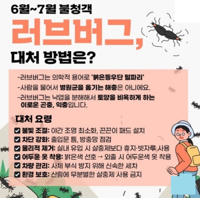 러브버그-출몰-앱