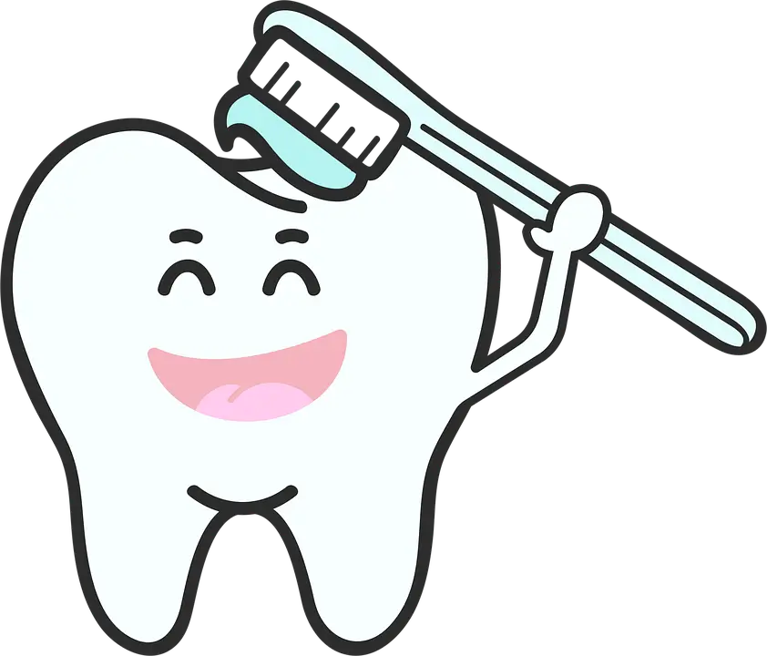치아보험 완전정리|임플란트·스케일링·충치 보장 핵심 가이드