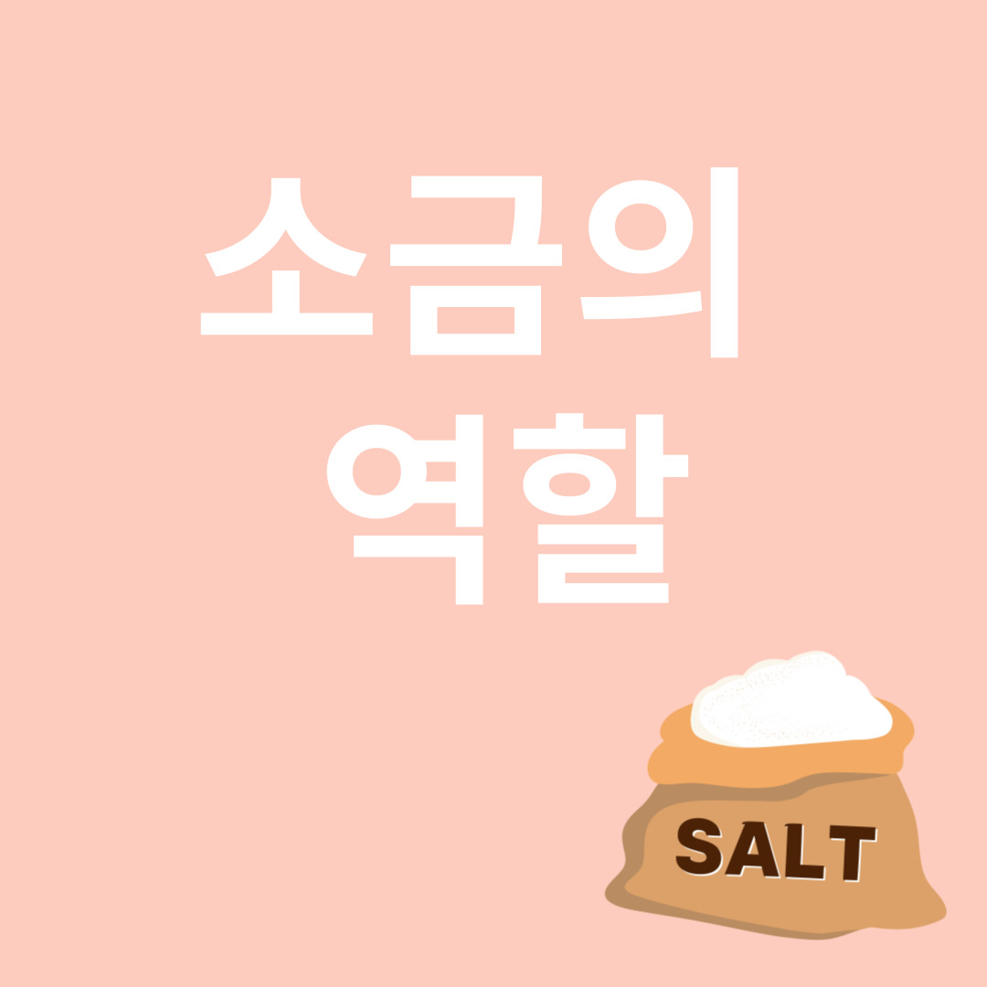 소금의 중요성과 관련된 이미지