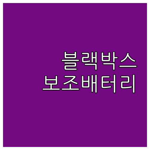 블랙박스, 캠핑용품 필수템 자동차 보