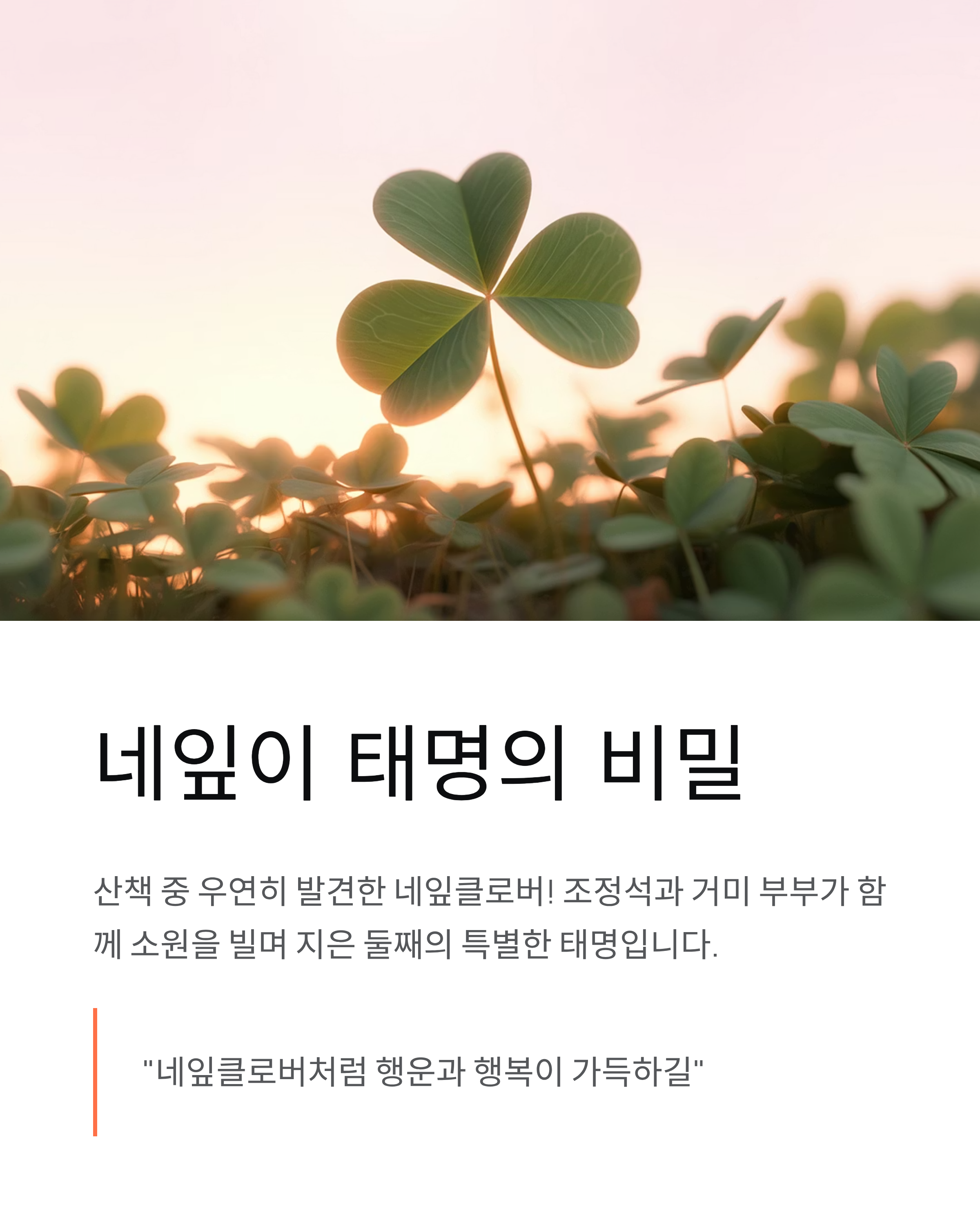 조정석 사랑꾼의 진짜 이야기!(네잎이, 쇼, 가족, 고향)