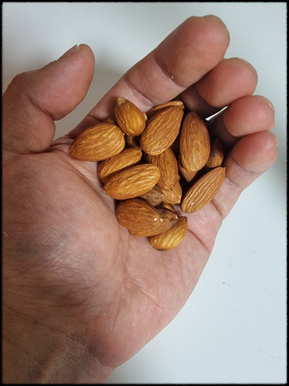 아몬드 효능_그림25