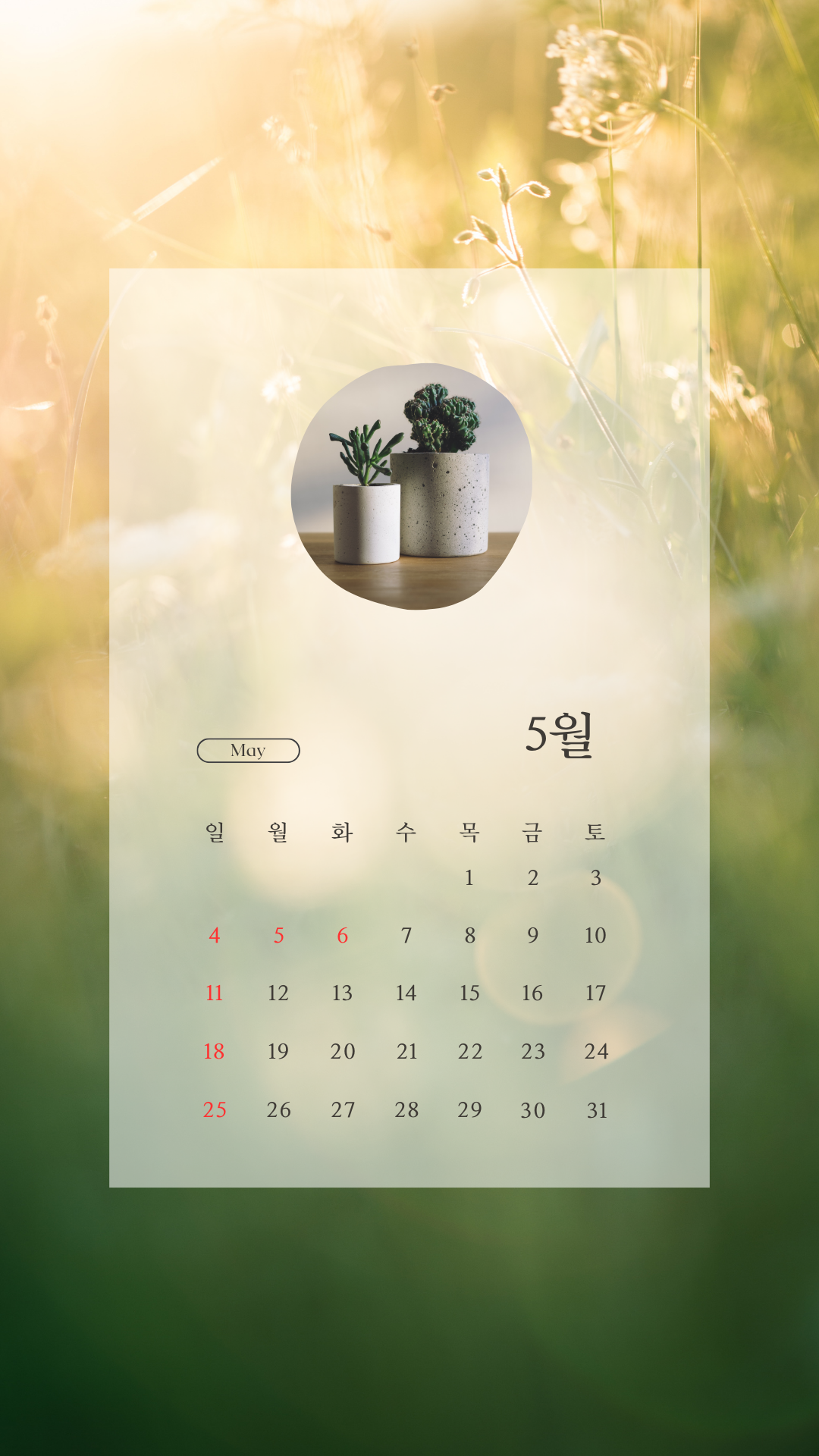 2025년 5월 달력 스마트폰 배경화면 이미지 그림 사진 모음