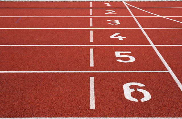 대구마라톤 2026 관련 이미지