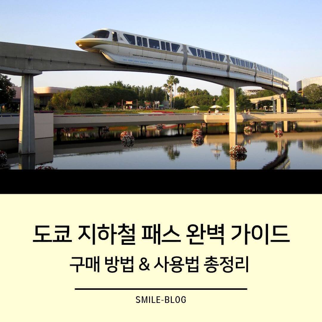 도쿄 지하철 패스 완벽 가이드 ❘ 구매 방법 & 사용법 총정리