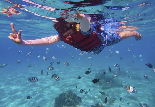 강정마을 생태축제