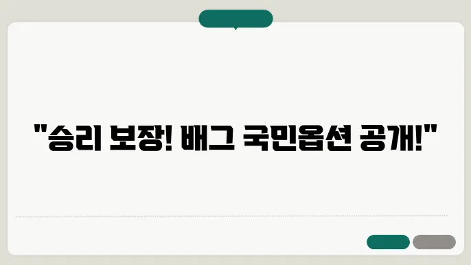 배그 국민옵션