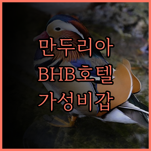 BHB 호텔 만두리아 완벽 분석 후기